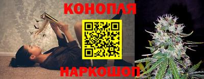 круглые Кингисепп