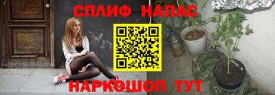 круглые Кингисепп